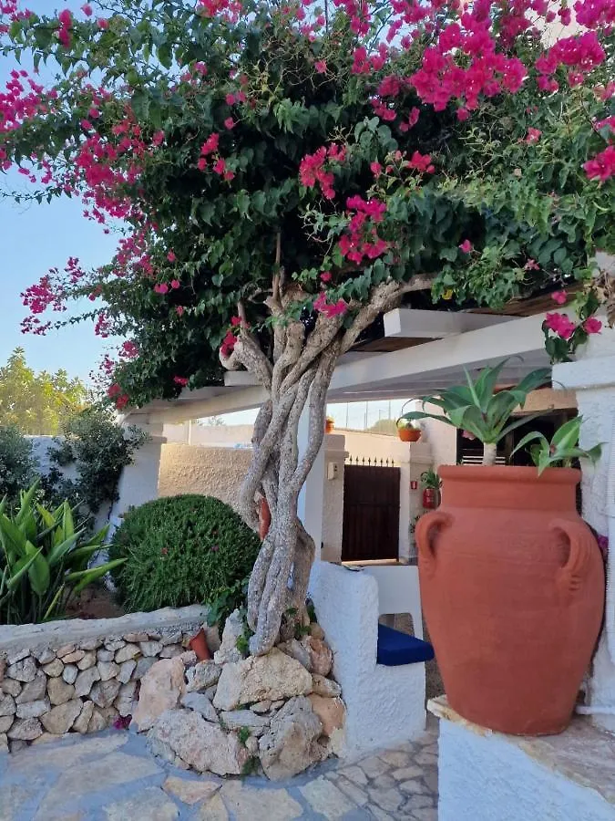 Angolo Di Paradiso Favignana 0*,  İtalya